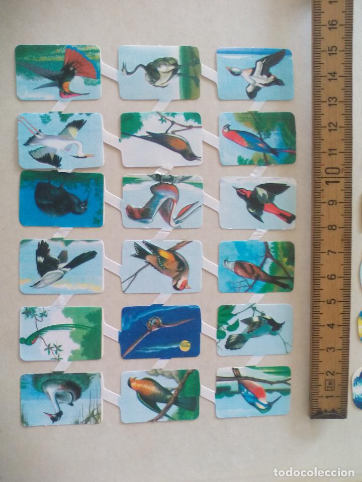 Colecionismo Cromos recortados antigos: AVES, P&Aacute;JAROS, ORNITOLOGIA. LAMINA DE CROMOS TROQUELADOS CREO QUE DE EDIVAS
