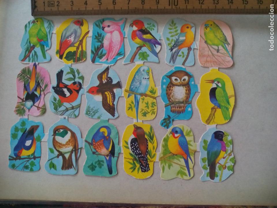 Colecionismo Cromos recortados antigos: AVES, P&Aacute;JAROS, ORNITOLOG&Iacute;A. LAMINA DE CROMOS TROQUELADOS CREO QUE DE EDIVAS.