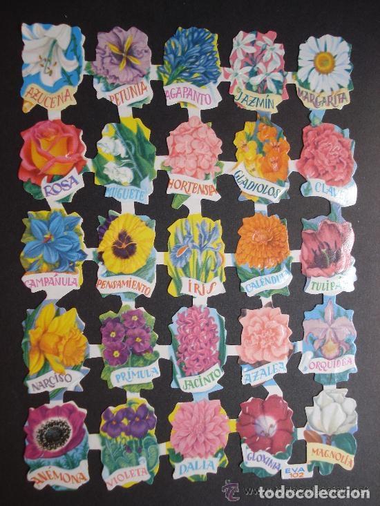 Collectable Antique Stamped Cards: ANT&Iacute;GUA L&Aacute;MINA DE CROMOS TROQUELADOS EVA 102 CON BRILLO Y RELIEVE.