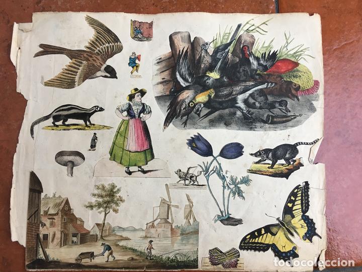 Sammeln alte gestanzte Sammelbilder: LOTE DE CROMOS TROQUELADOS PEGADOS EN HOJA