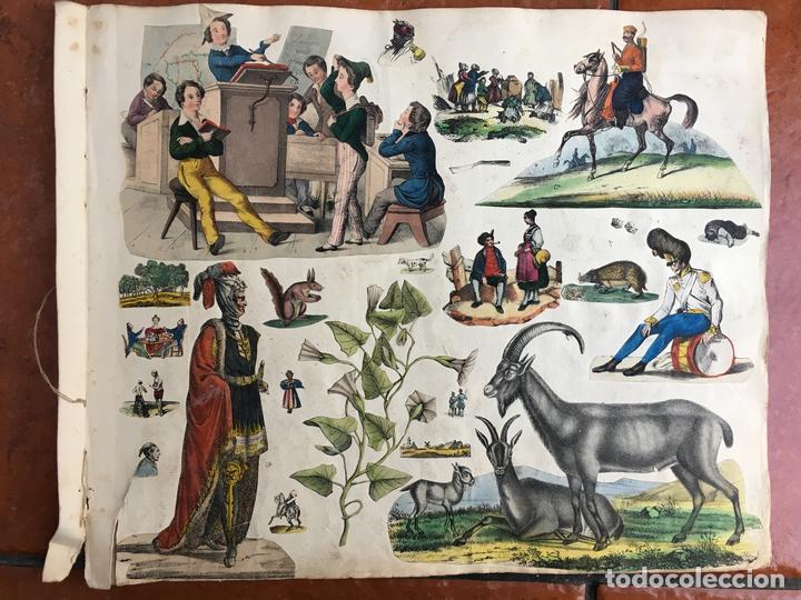 Sammeln alte gestanzte Sammelbilder: LOTE DE CROMOS TROQUELADOS PEGADOS EN HOJA