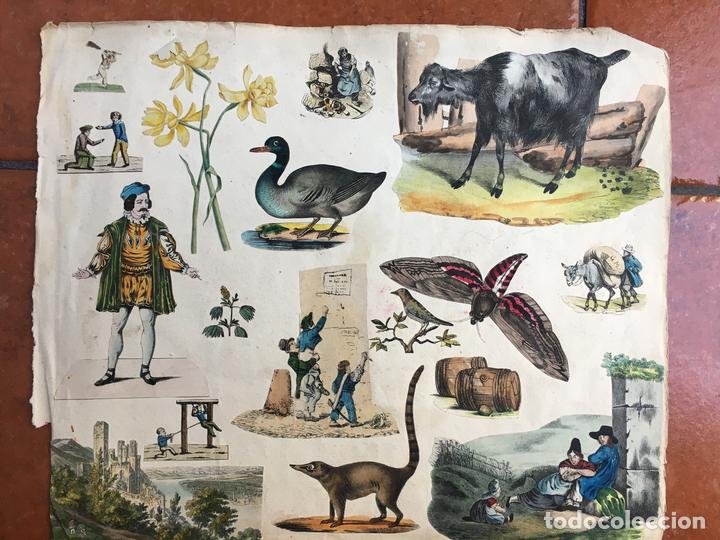 Sammeln alte gestanzte Sammelbilder: LOTE DE CROMOS TROQUELADOS PEGADOS EN HOJA