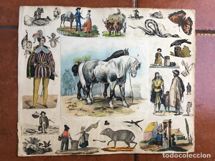 Sammeln alte gestanzte Sammelbilder: LOTE DE CROMOS TROQUELADOS PEGADOS EN HOJA