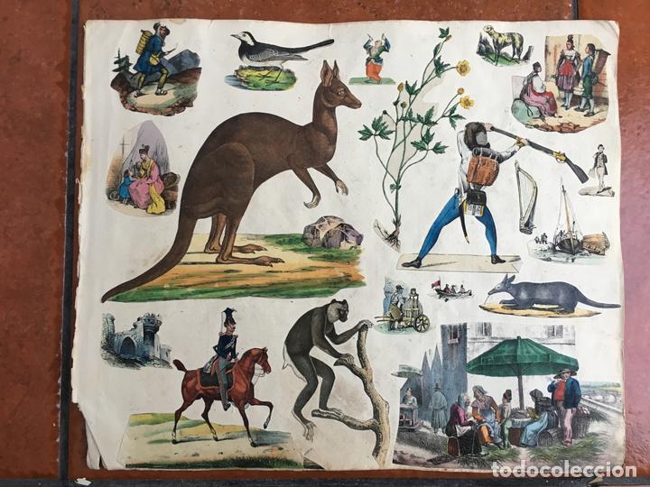 Sammeln alte gestanzte Sammelbilder: LOTE DE CROMOS TROQUELADOS PEGADOS EN HOJA