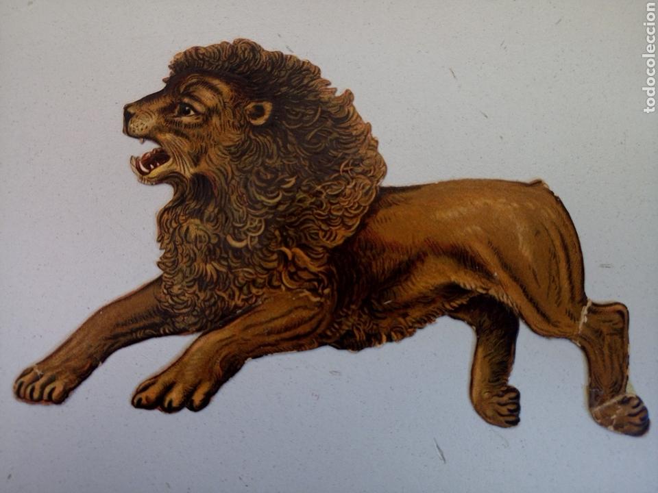 Sammeln alte gestanzte Sammelbilder: Antiguo cromo troquelado leon chocolate juncosa