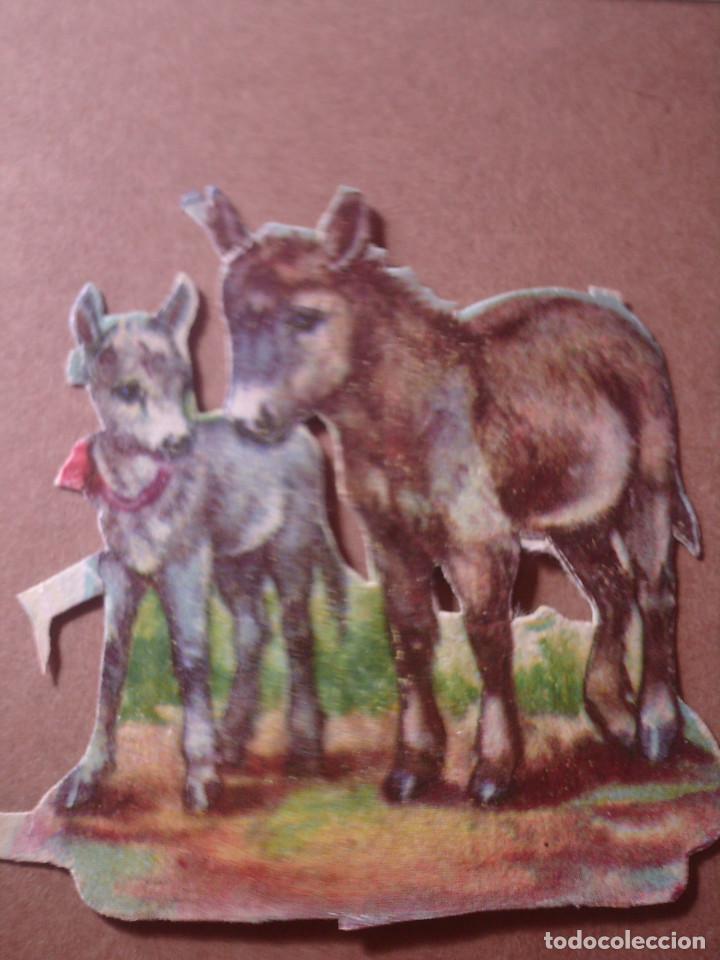 Sammeln alte gestanzte Sammelbilder: ~~~~ ANTIGUO CROMO BURRITOS TROQUELADO , MIDE 9 X 7 CM. ~~~~