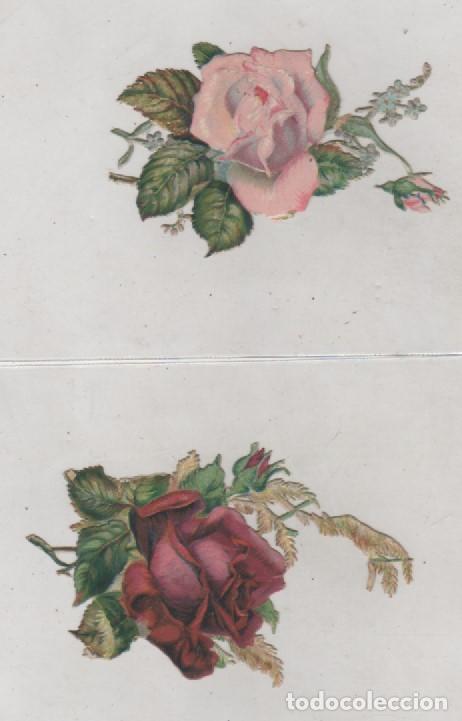 Collectionnisme Cartes &agrave; collectionner massicot&eacute;es anciennes: Lote de 2cromos troquelados de flores. Sin publicidad en el reverso. 9 x 5 cm