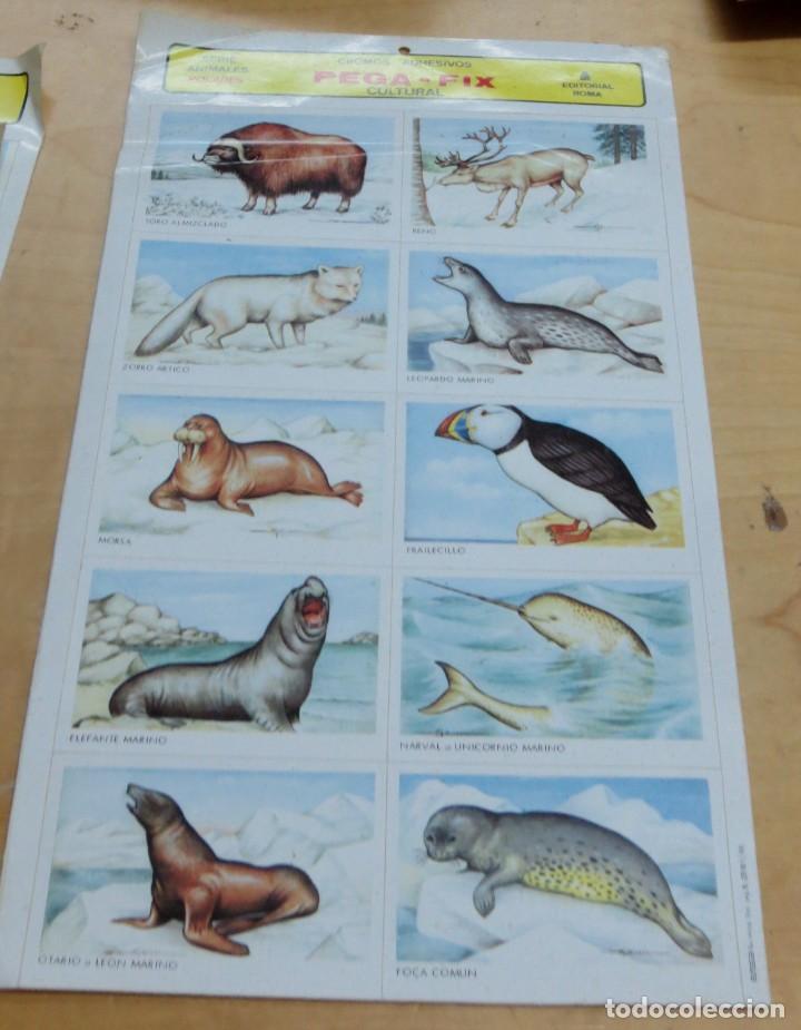 Sammeln alte gestanzte Sammelbilder: L&Aacute;MINA CROMOS ADHESIVOS PEGA-FIX CULTURAL SERIE ANIMALES POLARES EDITORIAL ROMA