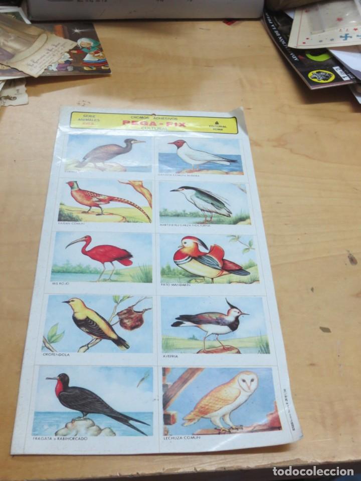 Sammeln alte gestanzte Sammelbilder: L&Aacute;MINA CROMOS ADHESIVOS PEGA-FIX CULTURAL SERIE ANIMALES AVES EDITORIAL ROMA