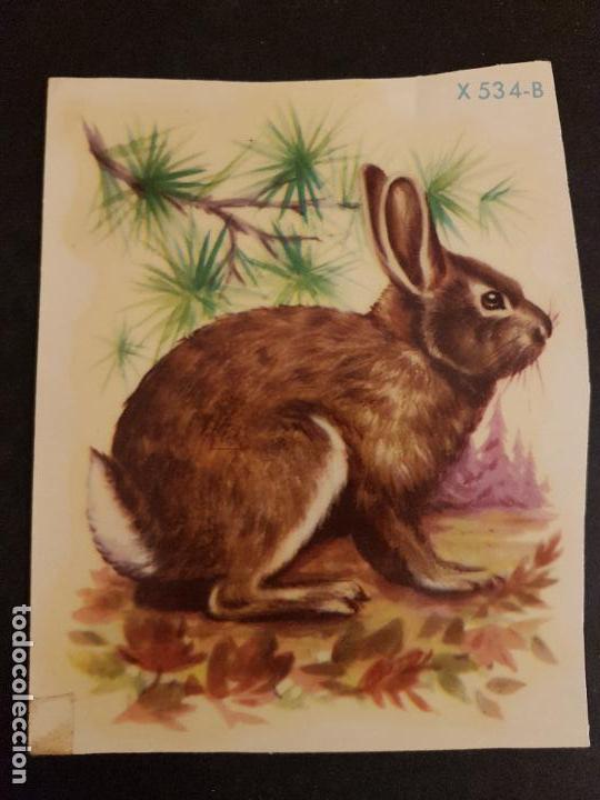 Coleccionismo cromos troquelados antiguos: LAMINA CON CALCAMONIA CONEJO - Foto 1