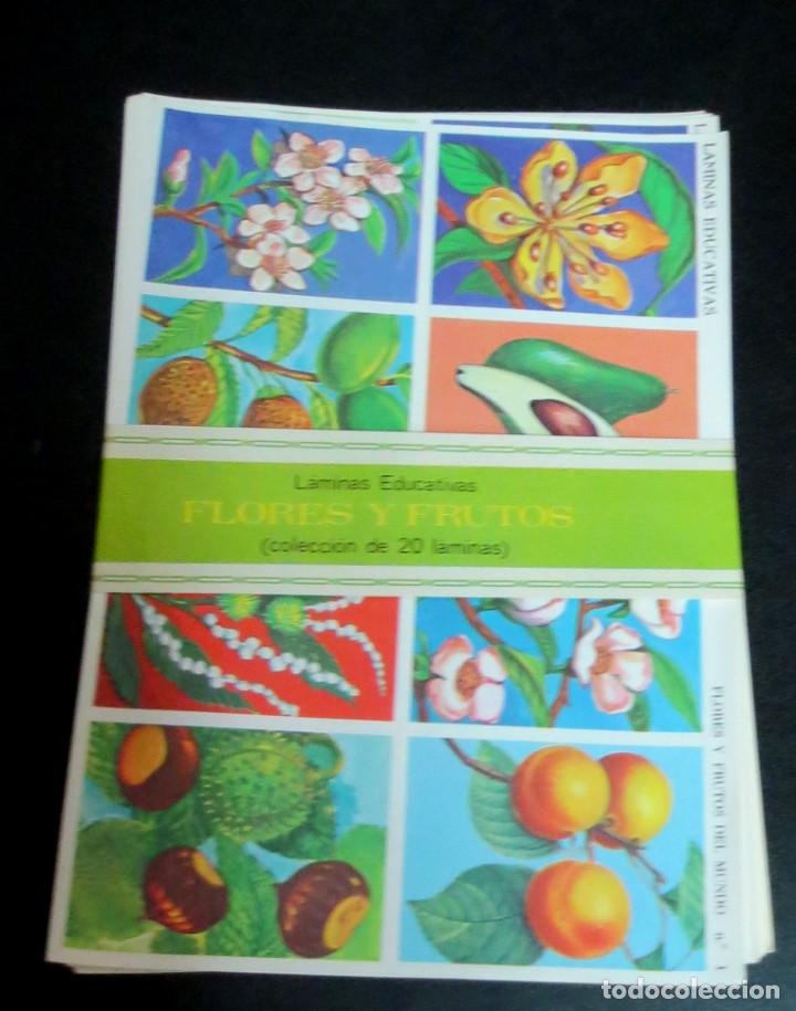Collectionnisme Cartes &agrave; collectionner massicot&eacute;es anciennes: COLECCI&Oacute;N DE 20 L&Aacute;MINAS FLORES Y FRUTOS L&Aacute;MINAS EDUCATIVAS EDITORIAL VASCO AMERICANA A&Ntilde;O 1974