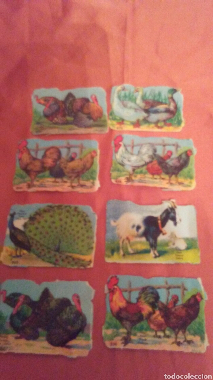 Coleccionismo cromos troquelados antiguos: Lote cromos troquelados a&ntilde;os 50