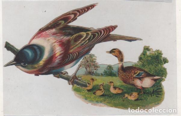 Coleccionismo cromos troquelados antiguos: Lote de 2 cromos troquelados Pato y p&aacute;jaro.  Sin publicidad. 9 x 4 cm cada uno.