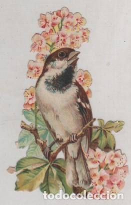 Coleccionismo Cromos troquelados antiguos: Cromo troquelado p&aacute;jaro con flores publicidad Chocolates Amatller Barcelona.