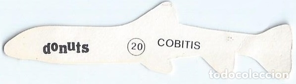 Coleccionismo cromos troquelados antiguos: Cobitis - Peces Ex&oacute;ticos n&ordm; 20 - Donuts - Foto 2