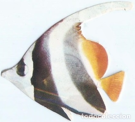 Coleccionismo cromos troquelados antiguos: Henioco - Peces Ex&oacute;ticos n&ordm; 41 - Donuts - Foto 1