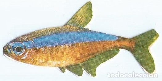 Coleccionismo cromos troquelados antiguos: Neon - Peces Ex&oacute;ticos n&ordm; 06 - Donuts - Foto 1
