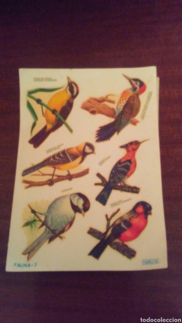 Coleccionismo Cromos troquelados antiguos: Hoja calcomanias a&ntilde;os 60