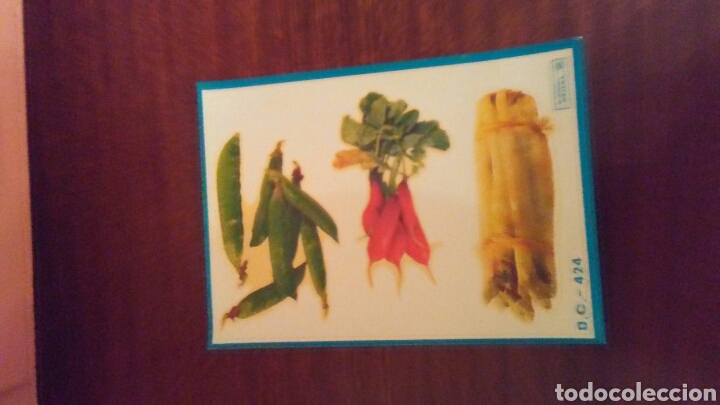 Sammeln alte gestanzte Sammelbilder: Lamina de calcomanias a&ntilde;os 60