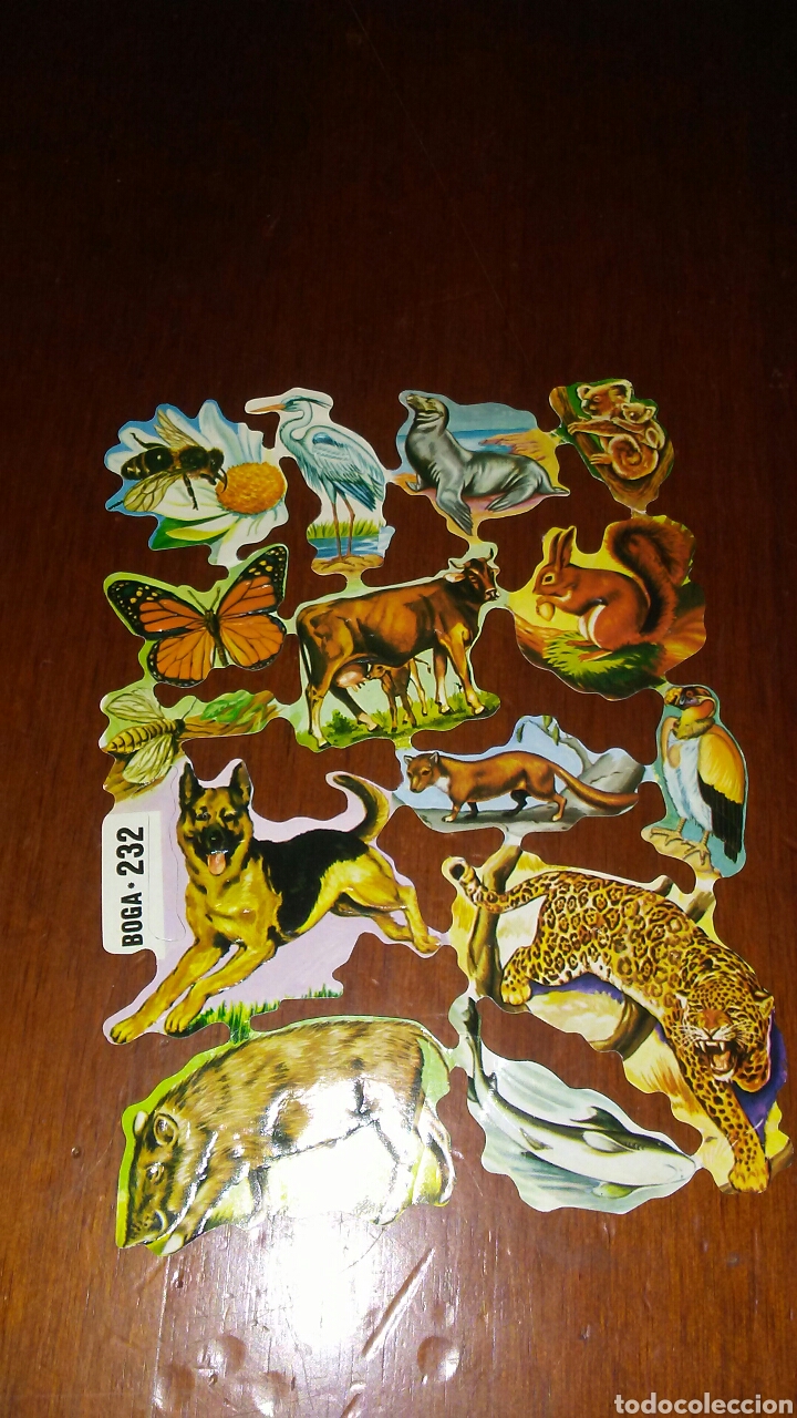 Collectable Antique Stamped Cards: Lamina cromos a&ntilde;os 60