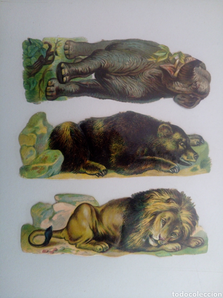 Colecionismo Cromos recortados antigos: Lote de tres cromos troquelados de chocolates de animales le&oacute;n oso elefante