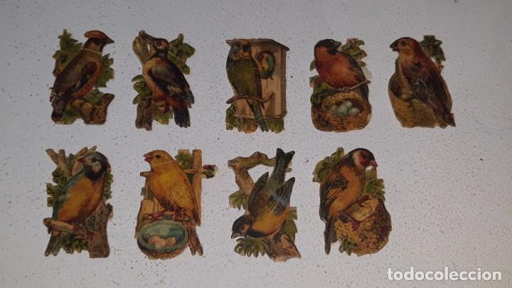 Sammeln alte gestanzte Sammelbilder: ANTIGUO LOTE DE 9 CROMOS TROQUELADOS DE PAJAROS / AVES FINALES DEL SIGLO XIX