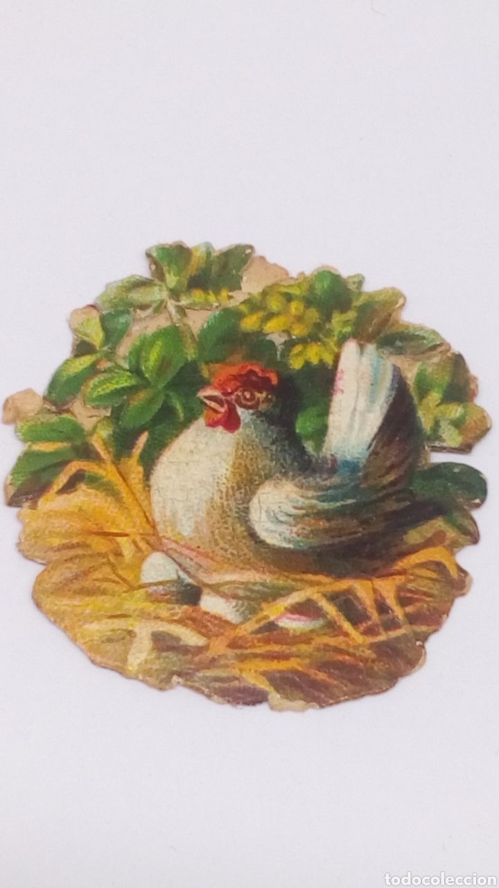 Colecionismo Cromos recortados antigos: Cromo troquelado