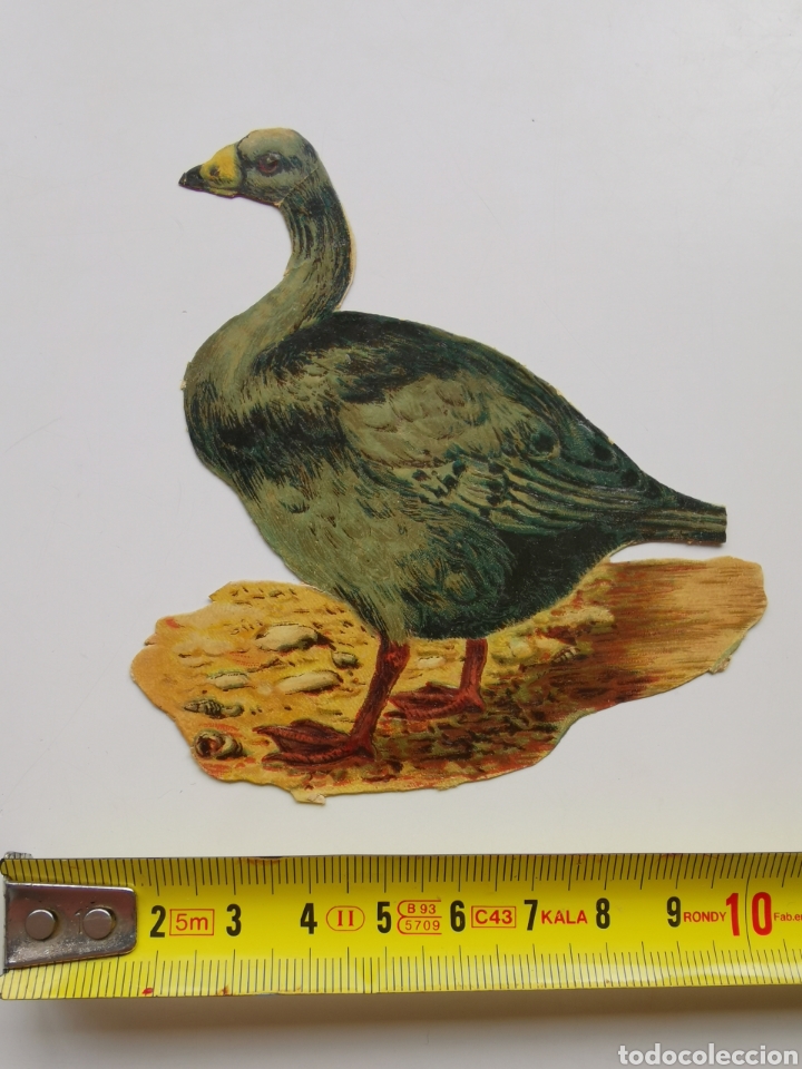 Collectable Antique Stamped Cards: Cromo troquelado de Chocolate Amatller Barcelona. Pato verde.