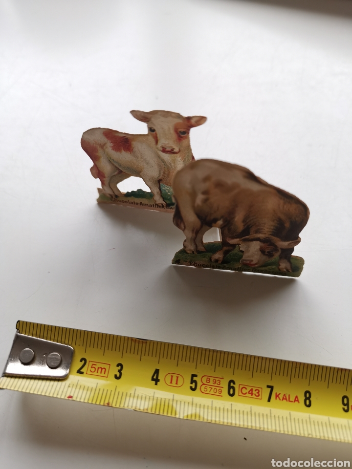 Collectable Antique Stamped Cards: Cromo troquelado de Chocolate Amatller Barcelona, 2 terneros, vacas.