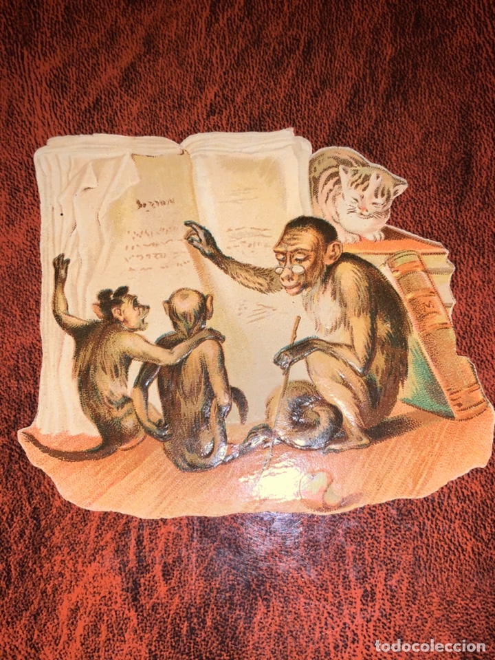 Collezionismo Figurine ritagliate antiche: Cromo troquelado de Chocolate Amatller