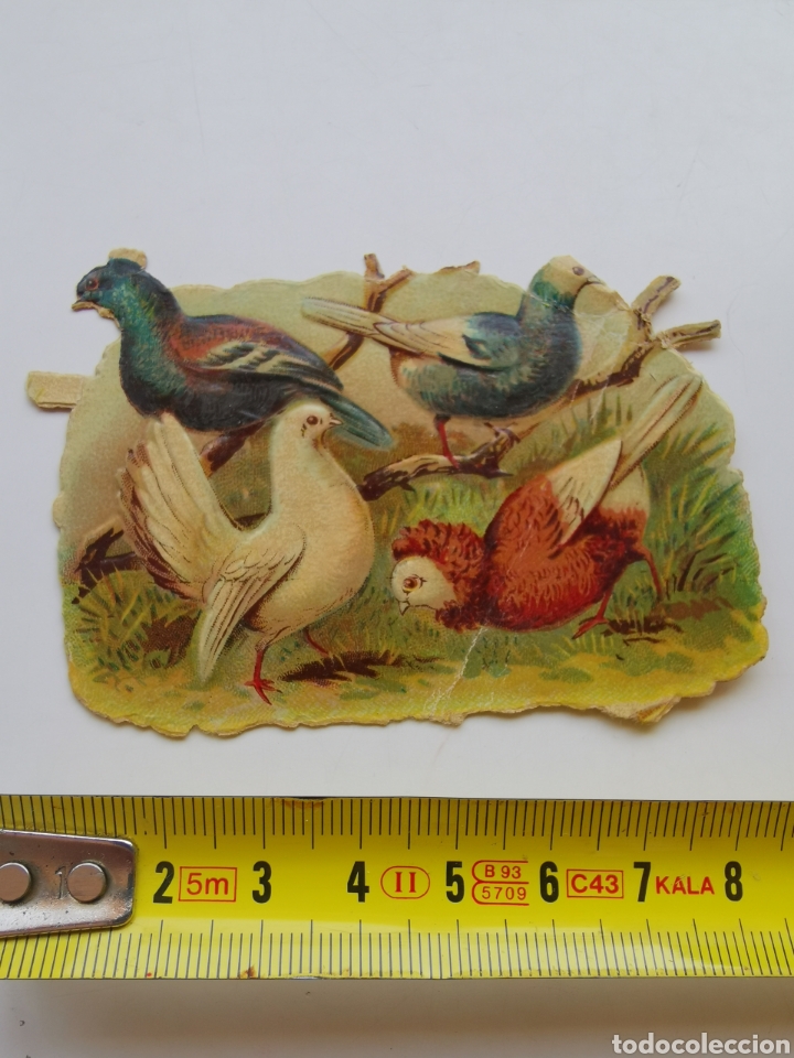 Coleccionismo cromos troquelados antiguos: Cromo troquelado de Chocolate Amatller de 4 palomas - Foto 1