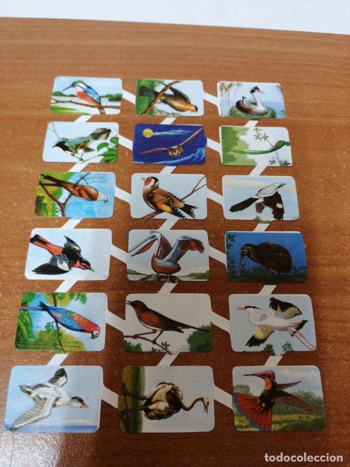 Sammeln alte gestanzte Sammelbilder: 011 LAMINA DE CROMOS RECORTABLES TROQUELADOS