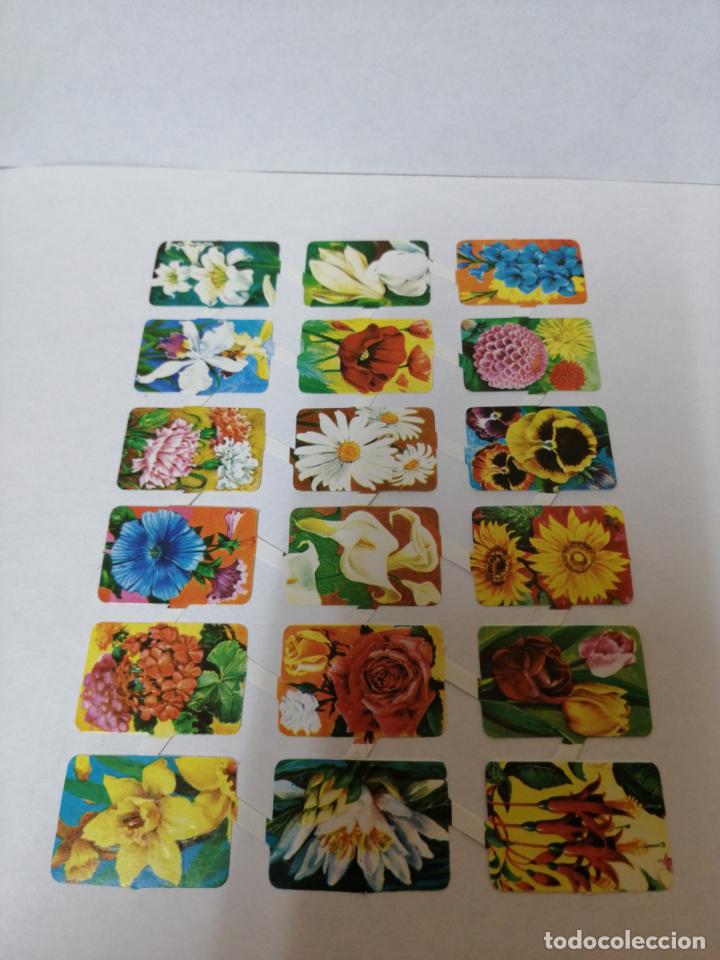 Coleccionismo cromos troquelados antiguos: 026 LAMINA DE CROMOS RECORTABLES TROQUELADOS