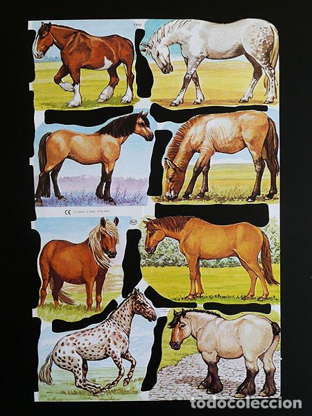 Collectionnisme Cartes &agrave; collectionner massicot&eacute;es anciennes: ZPR. LAMINA DE CROMOS TROQUELADOS CON BRILLO Y RELIEVE MLP - 1666- CABALLOS