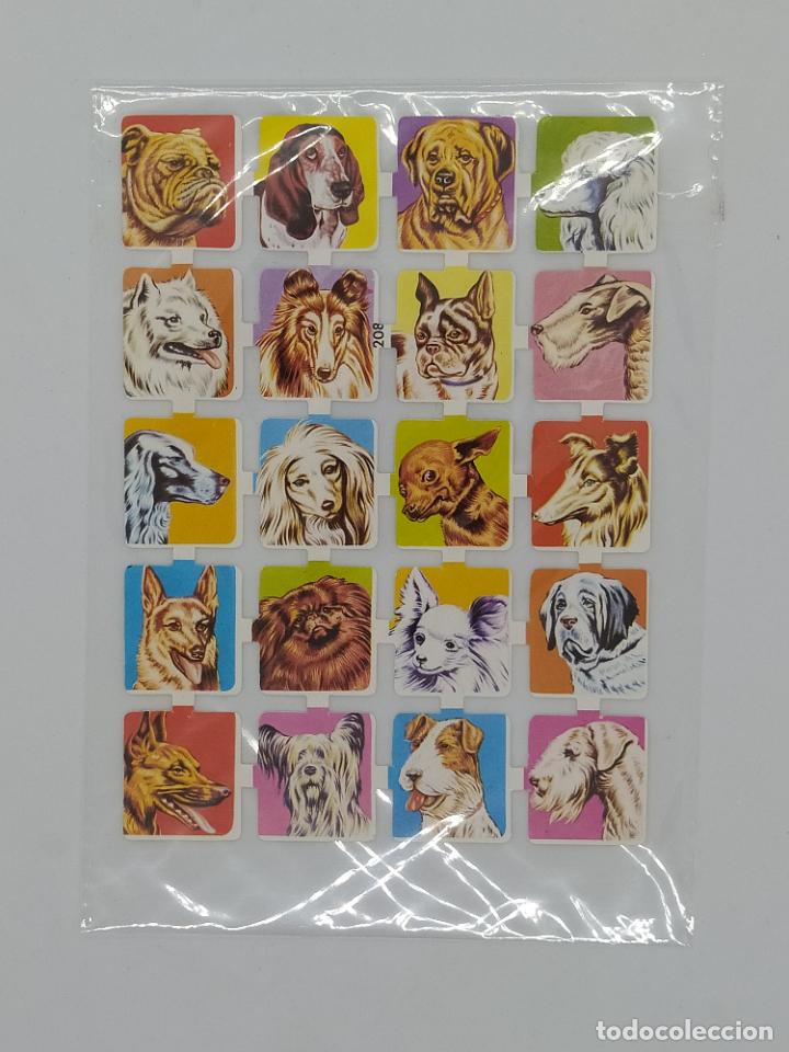 Sammeln alte gestanzte Sammelbilder: LAMINA DE CROMOS DE PICAR TROQUELADOS CON BRILLO Y RELIEVE - RAZAS DE PERROS - BOGA 208
