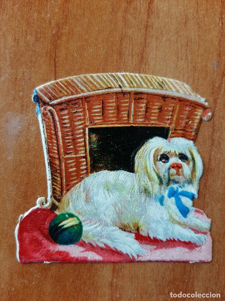 Coleccionismo cromos troquelados antiguos: CROMO TROQUELADO : PERRO - Foto 1