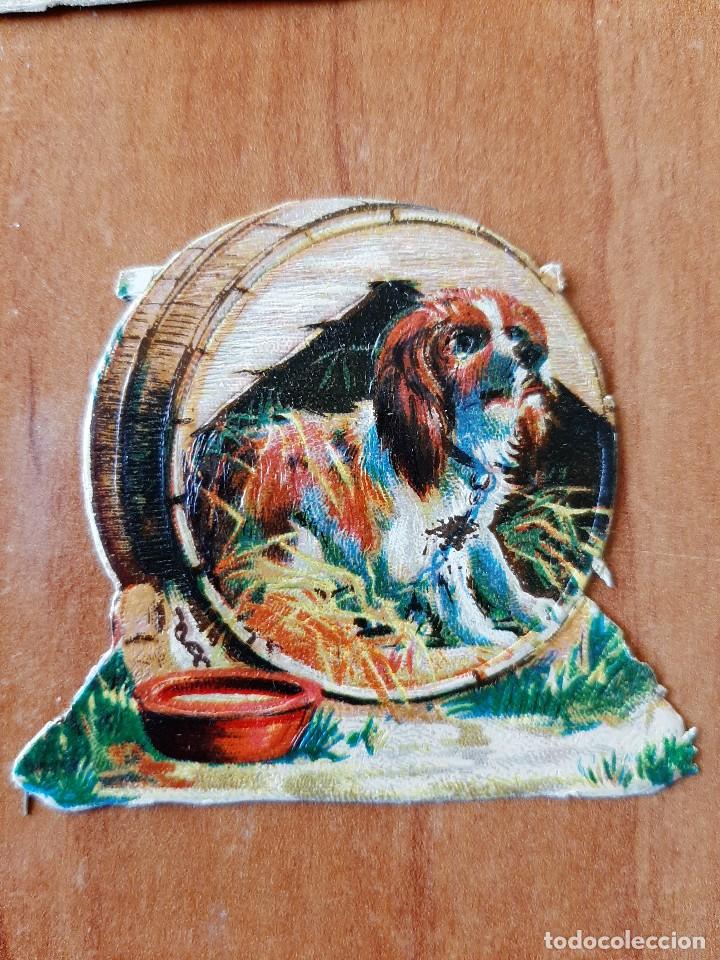 Coleccionismo cromos troquelados antiguos: CROMO TROQUELADO : PERRO - Foto 1
