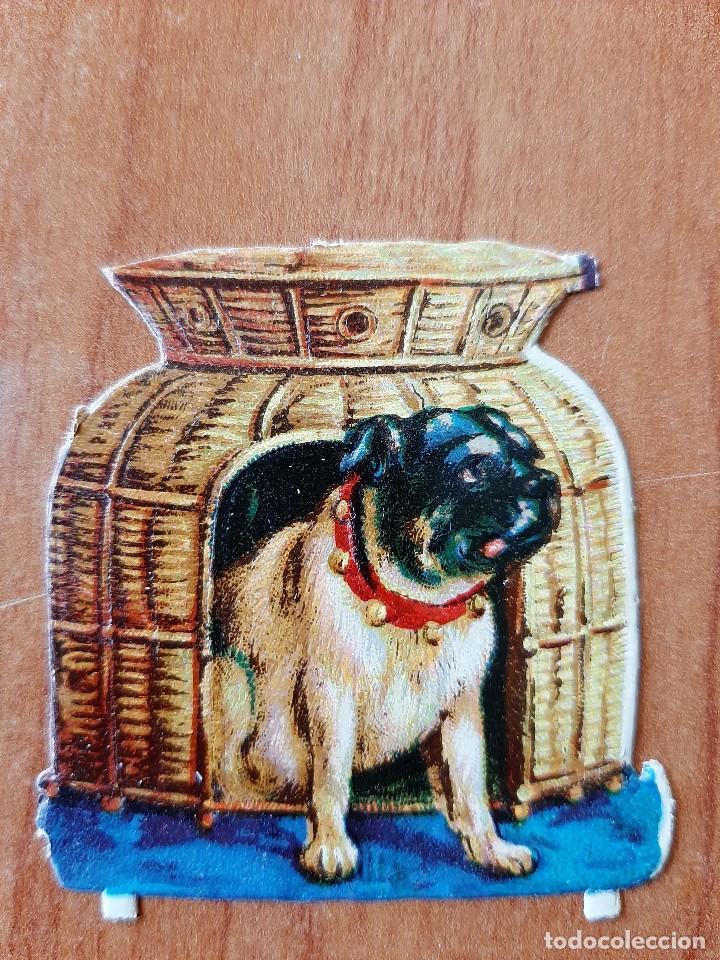 Coleccionismo cromos troquelados antiguos: CROMO TROQUELADO : PERRO - Foto 1