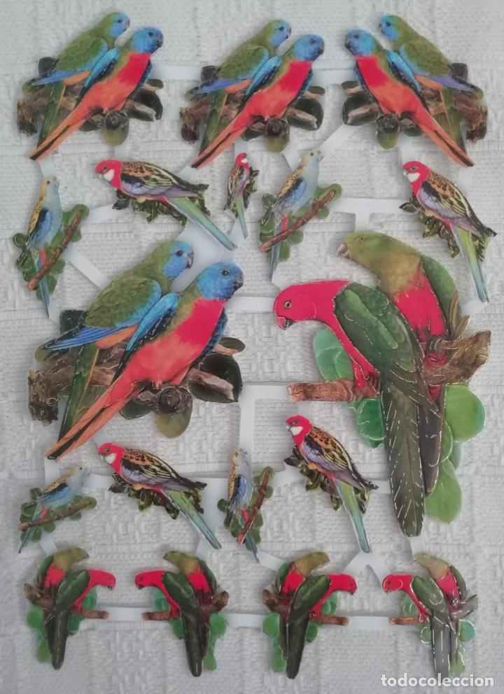Sammeln alte gestanzte Sammelbilder: LAMINA CROMOS TROQUELADOS TBZ. LOROS. RELIEVE Y BRILLO