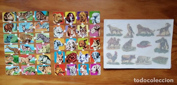 Coleccionismo cromos troquelados antiguos: CONJUNTO DE 2 PLIEGOS DE CROMOS Y OTRO DE CALCOMAN&Iacute;AS - Foto 1