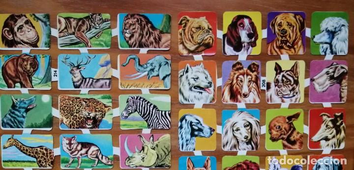 Coleccionismo cromos troquelados antiguos: CONJUNTO DE 2 PLIEGOS DE CROMOS Y OTRO DE CALCOMAN&Iacute;AS - Foto 3
