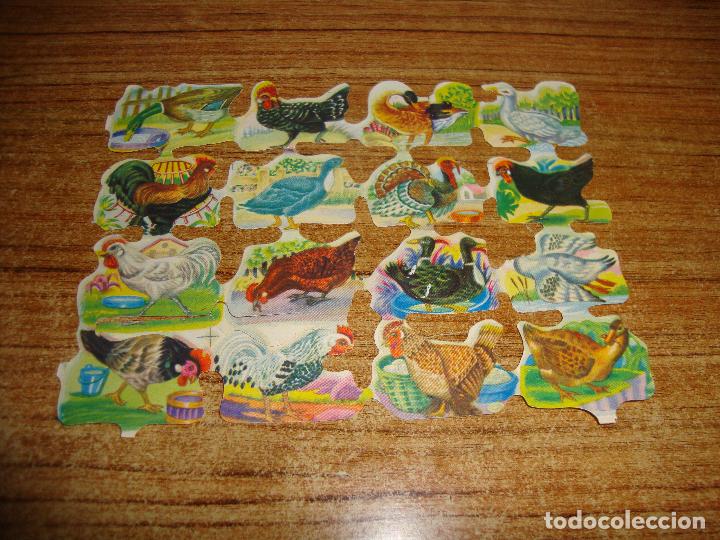 Coleccionismo Cromos troquelados antiguos: CROMOS TROQUELADOS PICAR