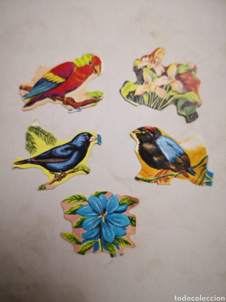 Colecionismo Cromos recortados antigos: TU OPORTUNIDAD DE COMPLETAR TU L&Aacute;MINA, VER DESCRIPCI&Oacute;N, CROMOS TROQUELADOS SUELTOS DE BOGA SERIE 227