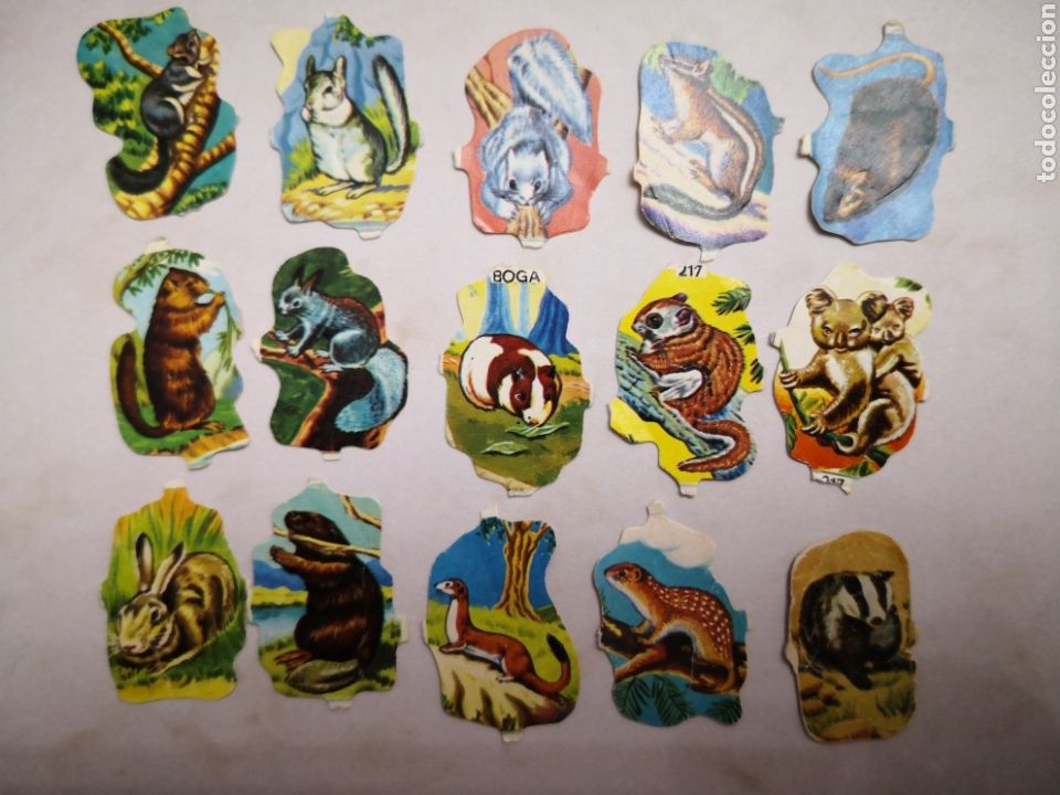 Sammeln alte gestanzte Sammelbilder: TU OCASI&Oacute;N DE ENCONTRARLO,VER DESCRIPCI&Oacute;N ESCASOS CROMOS TROQUELADOS DE BOGA SERIE 217
