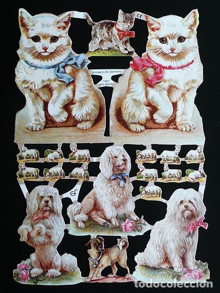 Collectionnisme Cartes &agrave; collectionner massicot&eacute;es anciennes: ZPR. LAMINA DE CROMOS TROQUELADOS CON BRILLO Y RELIEVE EF - 7067 - MASCOTAS