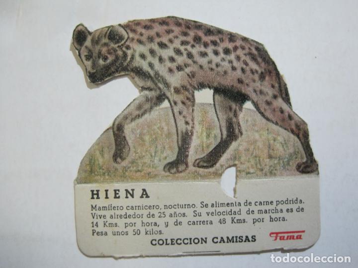 Collezionismo Figurine ritagliate antiche: HIENA-COLECCION CAMISAS FAMA-PUBLICIDAD-CROMO ANTIGUO TROQUELADO-VER FOTOS-(77.086)