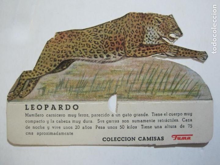Collezionismo Figurine ritagliate antiche: LEOPARDO-COLECCION CAMISAS FAMA-PUBLICIDAD-CROMO ANTIGUO TROQUELADO-VER FOTOS-(77.087)