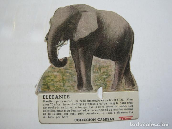 Collezionismo Figurine ritagliate antiche: ELEFANTE-COLECCION CAMISAS FAMA-PUBLICIDAD-CROMO ANTIGUO TROQUELADO-VER FOTOS-(77.088)