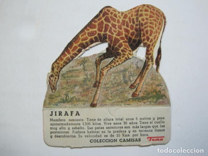 Collezionismo Figurine ritagliate antiche: JIRAFA-COLECCION CAMISAS FAMA-PUBLICIDAD-CROMO ANTIGUO TROQUELADO-VER FOTOS-(77.090)