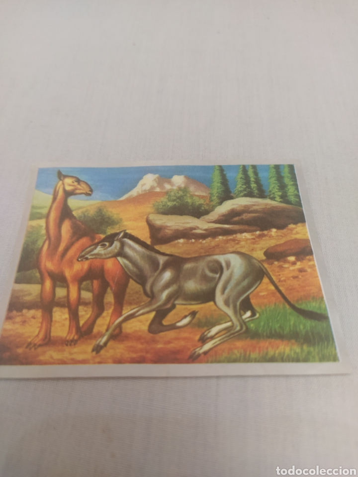 Collectable Antique Stamped Cards: Cromo &Aacute;lbum Maga de las ciencias a&ntilde;o 1971 N&deg;108